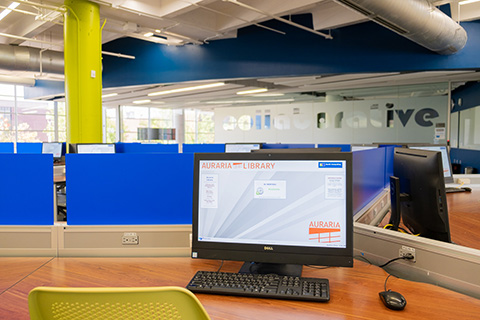 Computer Lab in the Library