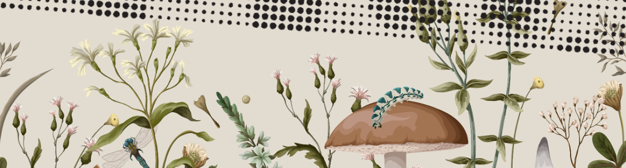 Illustration of assorted wildflowers and plants with a mushroom and a blue dragonfly in the foreground, set against a dotted, abstract background.