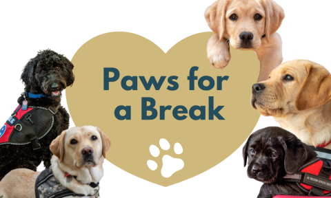 Paws for Pause - Freedom Service Dogs