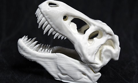 T-Rex Skull printed on a 3D printer