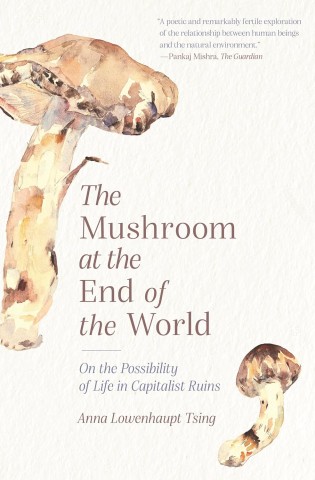 Cover of "The Mushroom at the End of the World" by Anna Lowenhaupt Tsing. Features watercolor mushrooms and text on a white background, evoking a thoughtful tone.