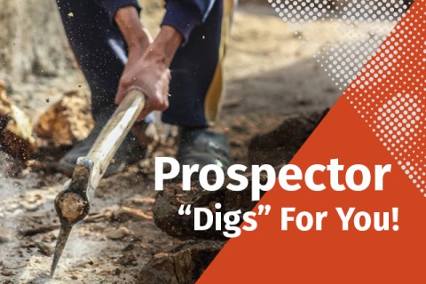 Photo by samer daboul from Pexels A man using a pickaxe on rock with the words "Prospector Digs For You"
