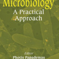 Cover of "Dairy Microbiology: A Practical Approach," edited by Photis Papademas. Background shows microscopic view of bacteria. Tone is scientific and educational.
