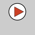 Nutrition Controversies Stream Video
