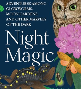 Cover of "Night Magic" by Leigh Ann Henion features an owl, salamander, moth, and glowworm amidst vibrant foliage and flowers on a dark background, evoking mystery.